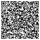 QR code with Purple Olive contacts