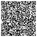 QR code with Borlam America Inc contacts