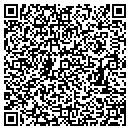 QR code with Puppy To Go contacts