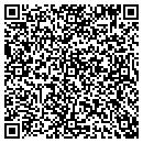 QR code with Carl's Carpet Repairs contacts