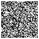 QR code with Brian's Lawn Service contacts