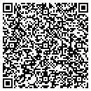 QR code with Cobra Software Inc contacts