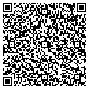 QR code with Pulse Medical contacts