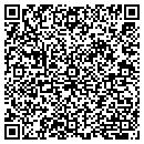 QR code with Pro Circ contacts