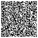 QR code with Ptk Productions Inc contacts