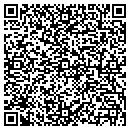 QR code with Blue View Corp contacts