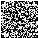 QR code with Carroll Electronics contacts