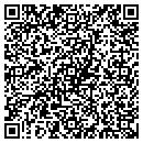 QR code with Punk Records Inc contacts