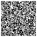 QR code with Pyt Records LLC contacts
