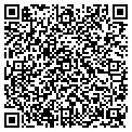 QR code with Bodega contacts