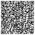 QR code with Brisa International Inc contacts