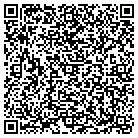 QR code with Blue Dolphin Dock Inc contacts