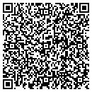 QR code with Black River Area Dev contacts