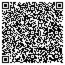 QR code with Productive Painting contacts