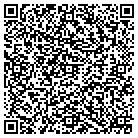 QR code with Pulse Advertising Inc contacts