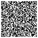 QR code with Professional Recovery contacts