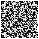 QR code with Y/M Services contacts