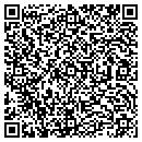 QR code with Biscayne Electric Inc contacts