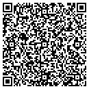 QR code with City Of De Witt contacts