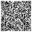 QR code with Punkin Patch contacts