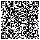 QR code with C J's Cafe & Wine Bar contacts