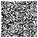 QR code with Blue Dolphin Tours contacts