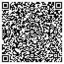 QR code with Publicationpro contacts