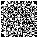 QR code with Brush With Imagination contacts