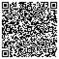 QR code with Cigars contacts