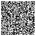 QR code with Kiwi Spa contacts