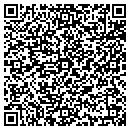 QR code with Pulaski Eletric contacts