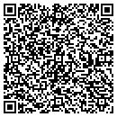 QR code with Carlson Ventures Inc contacts