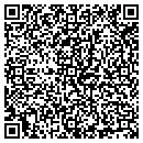 QR code with Carney Group Inc contacts
