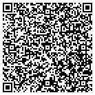 QR code with Chesapeake Seaplanes Inc contacts