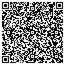 QR code with Professional Pharmacy contacts