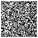 QR code with Premier Belting Inc contacts