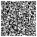 QR code with Pyle Floor Covering contacts