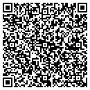 QR code with Premier Electric contacts