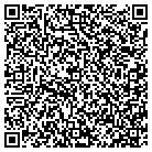 QR code with Public Safety Group Inc contacts