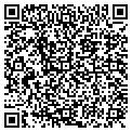 QR code with Andiamo contacts