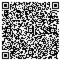 QR code with Team 11 contacts