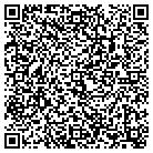 QR code with Pro Info Solutions Inc contacts