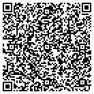 QR code with Pulaski In Home Services contacts