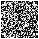 QR code with Premiere System Inc contacts