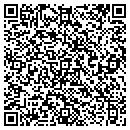 QR code with Pyramid Bldng Supply contacts