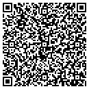 QR code with Carl Delio Dry Wall contacts