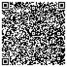 QR code with Blue Water Lending contacts