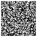 QR code with Profit Gate contacts