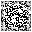 QR code with Cuneiform Concepts contacts