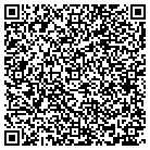 QR code with Blue Mountain Investments contacts